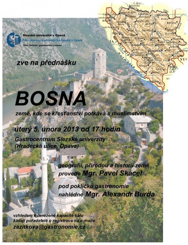 2013 01 bosna 1